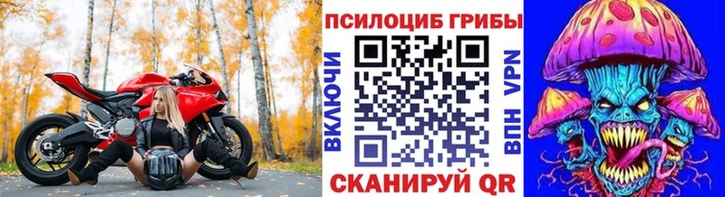 продажа наркотиков  Владивосток  Псилоцибиновые грибы ЛСД 
