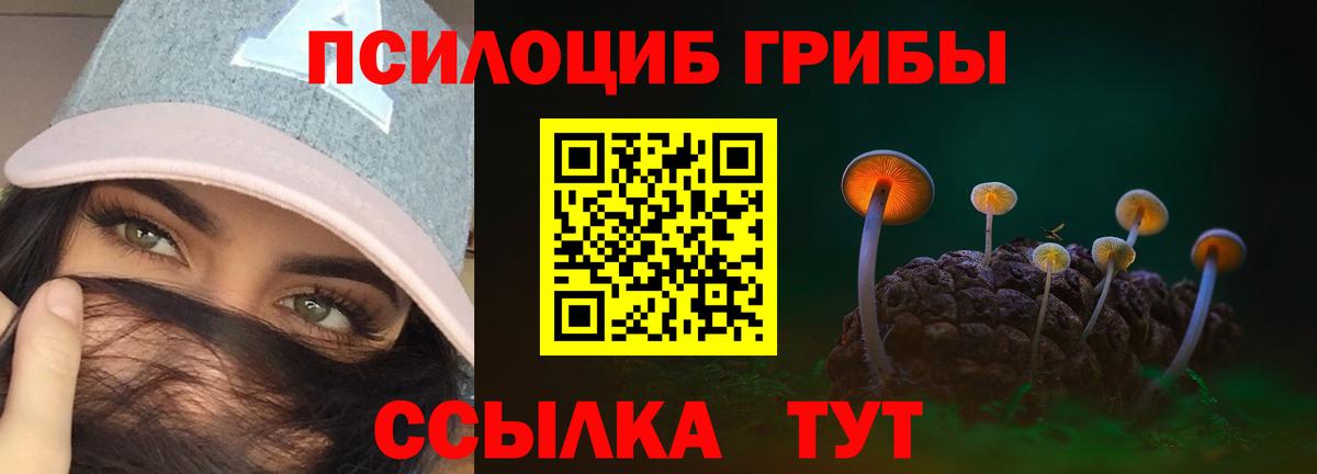 Галлюциногенные грибы мицелий Владивосток